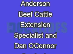 FEEDLOT MANAGEMENT Feed unk Management for Maximum Consistent Intake Pete Anderson Beef Cattle Extension Specialist and Dan OConnor Graduate Student University of Minnesota INTRODUCTION INTAKE MANAGE