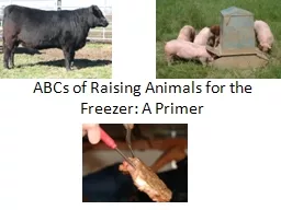 ABCs of Raising Animals for the Freezer: A Primer