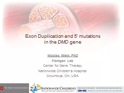 Exon Duplication and 5’ mutations