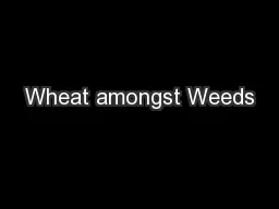 Wheat amongst Weeds