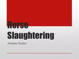 Horse Slaughtering