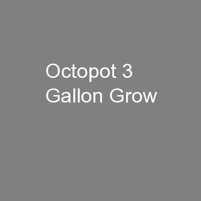 Octopot 3 Gallon Grow