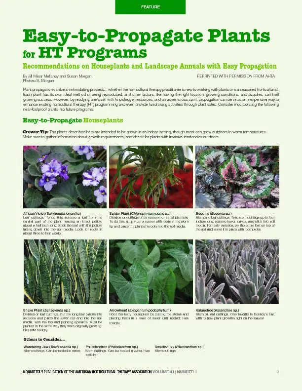 A QUARTERLY PUBLICATION OF THE AMERICAN HORTICULTURAL THERAPY ASSOCIAT
