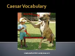 Caesar Vocabulary