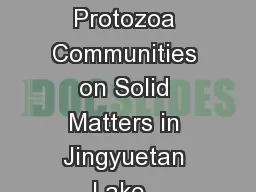 Algae and Protozoa Communities on Solid Matters in Jingyuetan Lake, ,