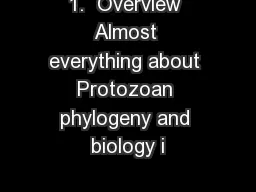 1.  Overview Almost everything about Protozoan phylogeny and biology i