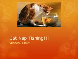 Cat Nap Fishing!!!