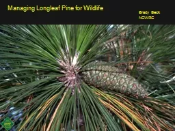 Managing Longleaf Pine for Wildlife
