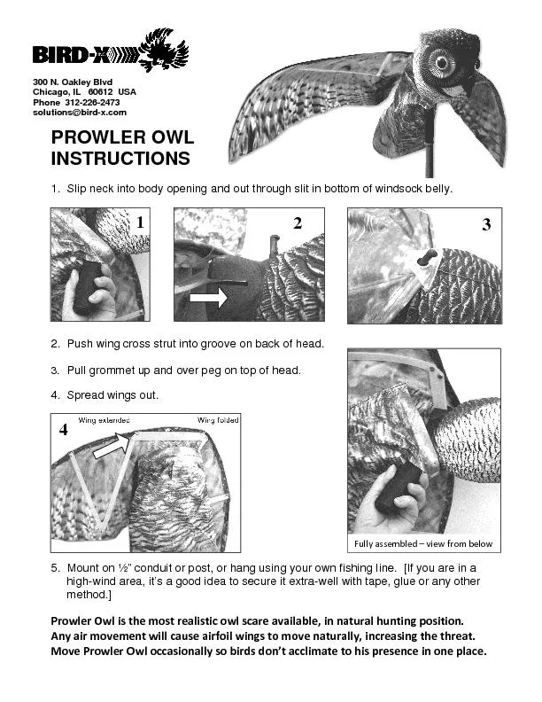 PROWLER OWL  INSTRUCTIONS 1. Slip neck into body opening and out throu