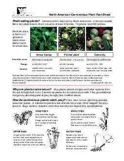 North American Carnivorous Plants Fact Sheet by C