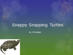 Snappy Snapping Turtles