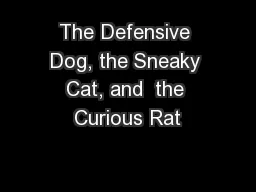 The Defensive Dog, the Sneaky Cat, and  the Curious Rat