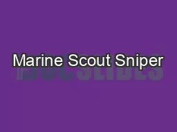 Marine Scout Sniper