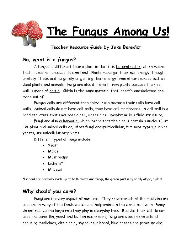 The Fungus Among Us!