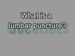 What is a lumbar puncture?