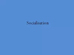 Socialisation