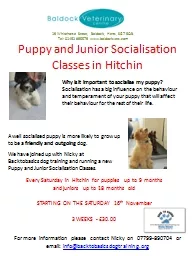 Puppy and Junior Socialisation Classes in