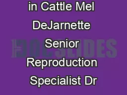 AI Technique in Cattle Mel DeJarnette Senior Reproduction Specialist Dr