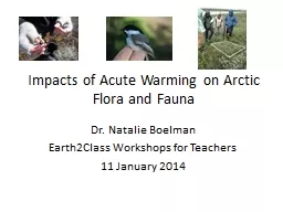 Impacts of Acute Warming on Arctic Flora and