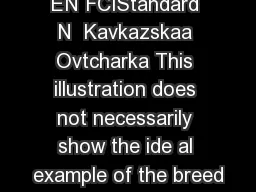 EN FCIStandard N  Kavkazskaa Ovtcharka This illustration does not necessarily show the