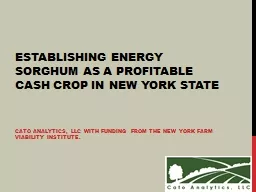 Cato analytics, LLc with funding from the New York Farm Via