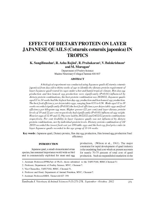 EFFECT OF DIETARY PROTEIN ON LAYER