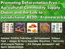 Promoting Deforestation-Free Agricultural Commodity Supply