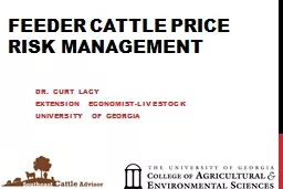 Feeder Cattle Price