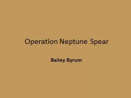 Operation Neptune Spear