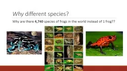 Why  different species?