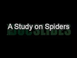 A Study on Spiders