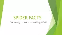 SPIDER FACTS