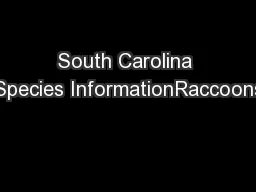 South Carolina Species InformationRaccoons