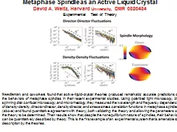 Metaphase Spindle as an Active Liquid