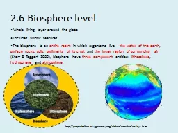 2.6 Biosphere level