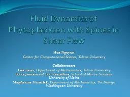 Fluid Dynamics of Phytoplankton with Spines in Shear Flow