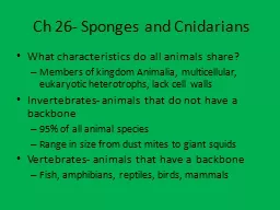 Ch 26- Sponges and Cnidarians