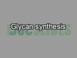 Glycan synthesis