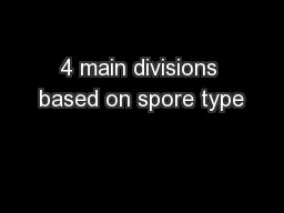 4 main divisions based on spore type