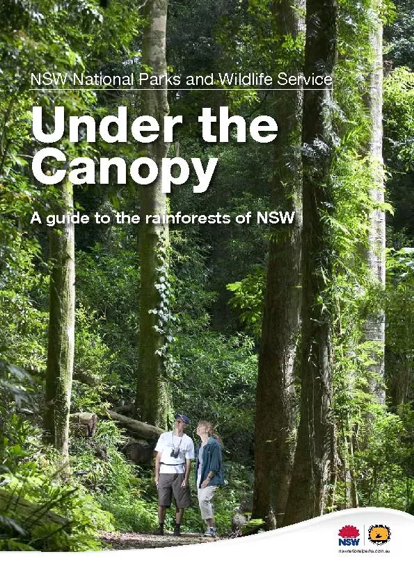 A guide to the rainforests of NSW