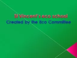 St Vincent’s eco school