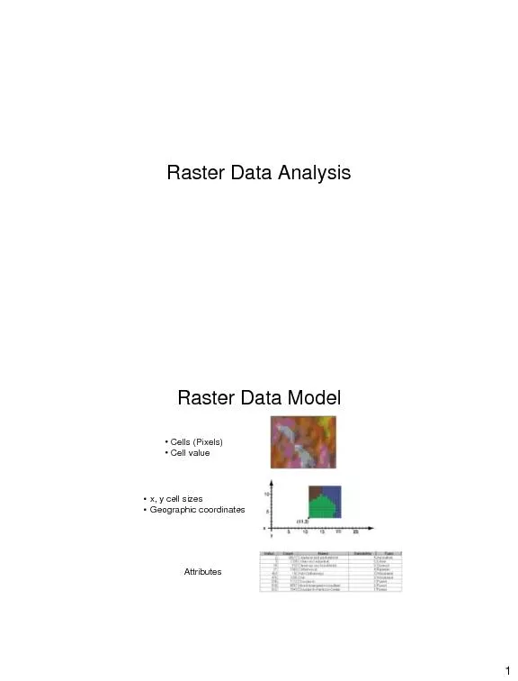 Raster Data Analysis