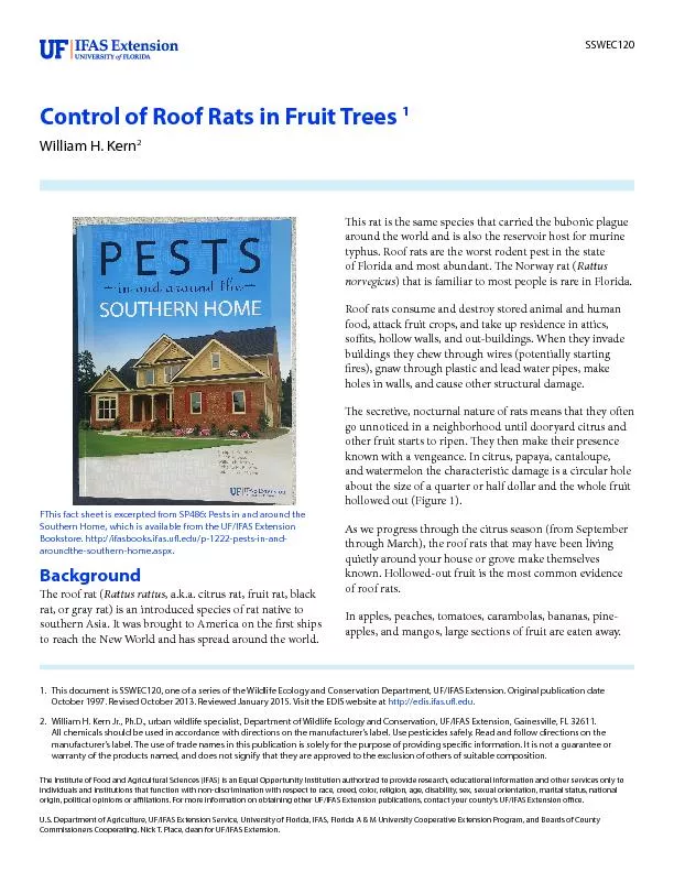 Control of Roof Rats in Fruit Trees