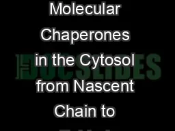 REVIEW PROTEIN FOLDING Molecular Chaperones in the Cytosol from Nascent Chain to Folded