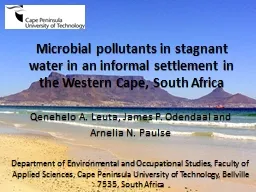 Microbial pollutants in stagnant water in an informal settl