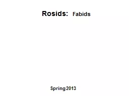 Rosids