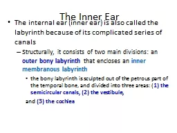 The Inner Ear