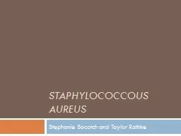 Staphylococcous
