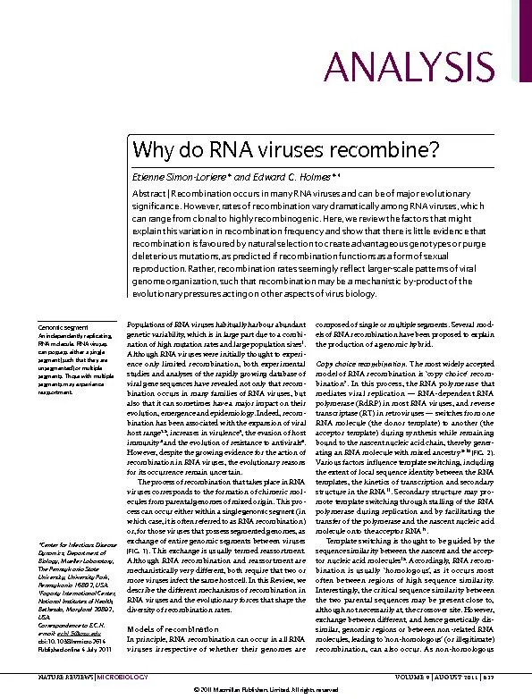 Populations of RNA viruses habitually harbour abundant