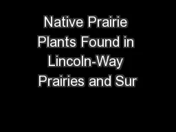 Native Prairie Plants Found in Lincoln-Way Prairies and Sur